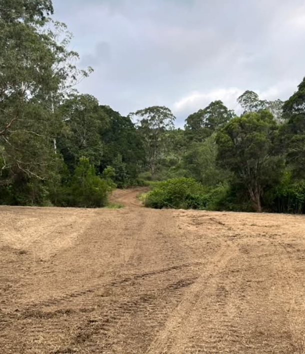 Cleared access track after CAT 275 XE forestry mulching — Sunshine Coast